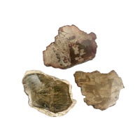 Zkamenělé dřevo - řez - cca 44 g